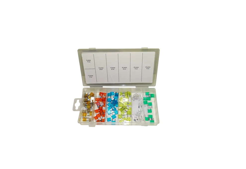 Mini Auto Fuse Assortment (100-Piece)