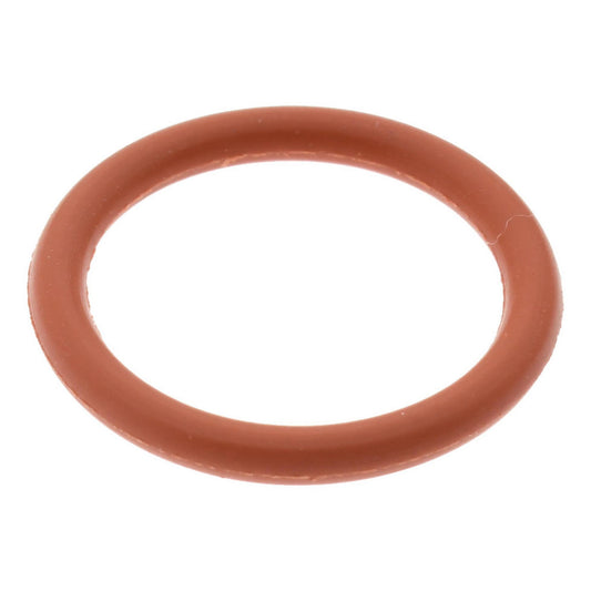 O-Ring Bosch