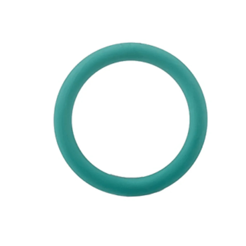 O-Ring Bosch