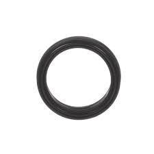 Seal Ring Bosch
