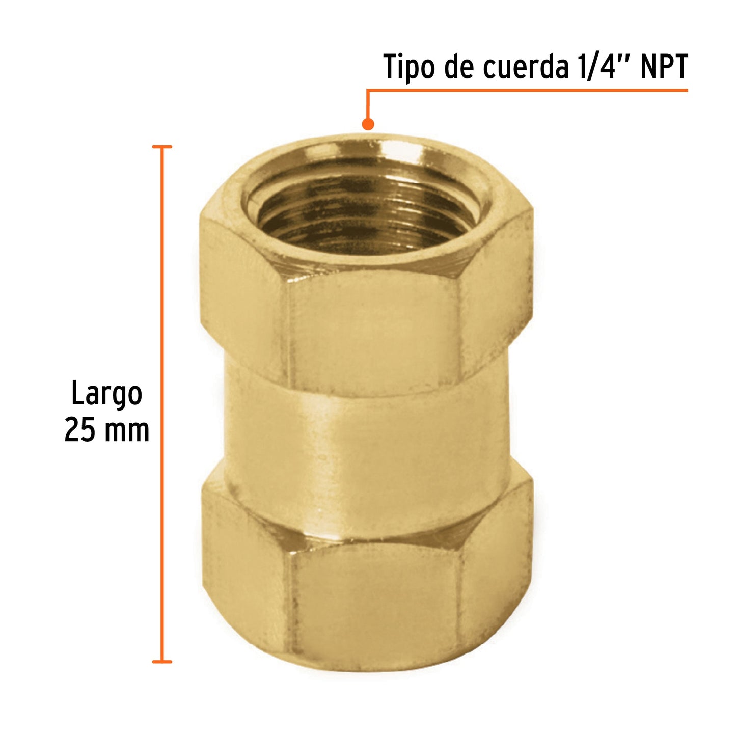 Brass Coupling, Female-Female, 1/4" NPT Thread, TRUPER