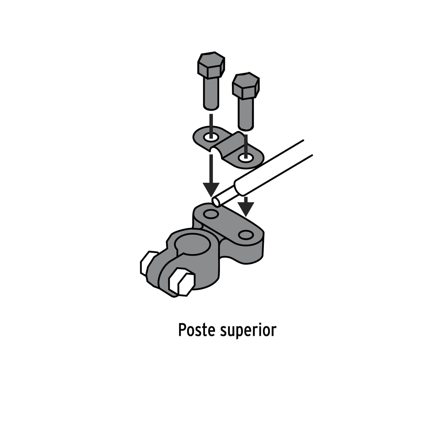 Blister Pack of 2 Battery Terminals, Brass Top Post, PRETUL